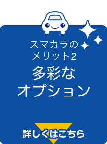 多彩なオプション